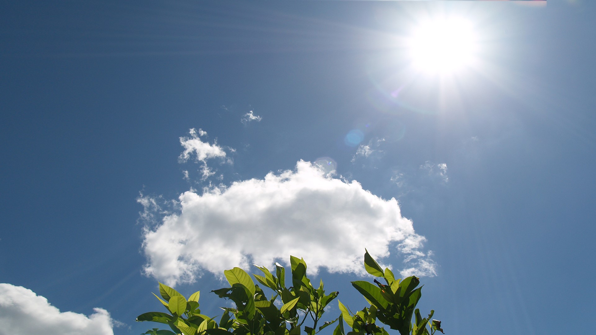 光導(dǎo)照明與電能照明主要的區(qū)別是什么？