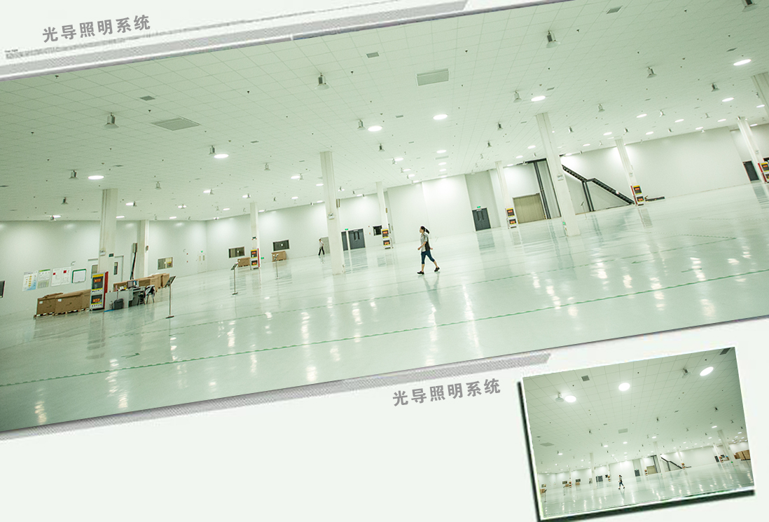 一份來源于自然的禮物——生活需要陽光、需要