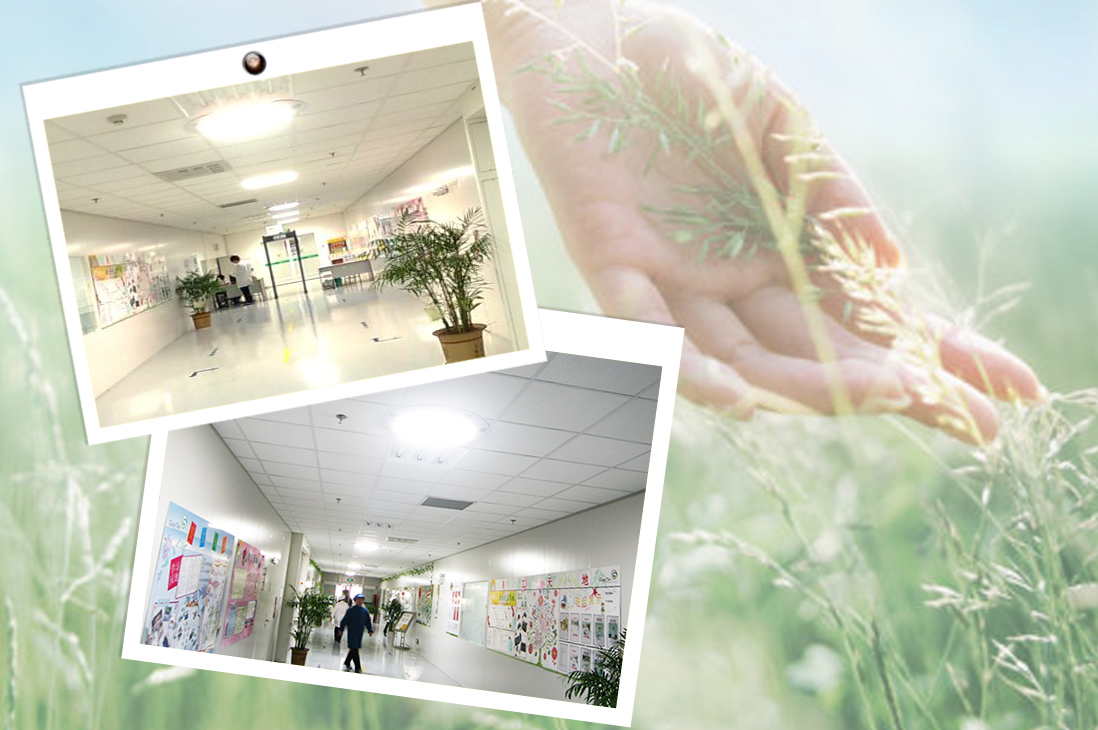 光導(dǎo)照明為學(xué)校教室提供舒適的、科學(xué)的照明環(huán)